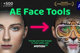 AE Face Tools V5.2 24958166