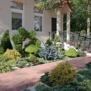 Maxtree - Plant Models Vol.63.jpg