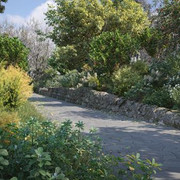 Maxtree - Plant Models Vol.76.jpg